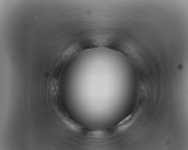 X0000096720237200802121255