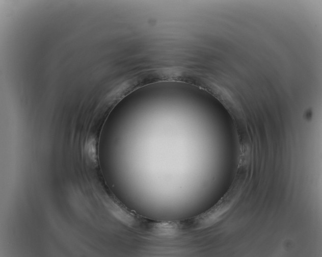 X0000096720238200802121255