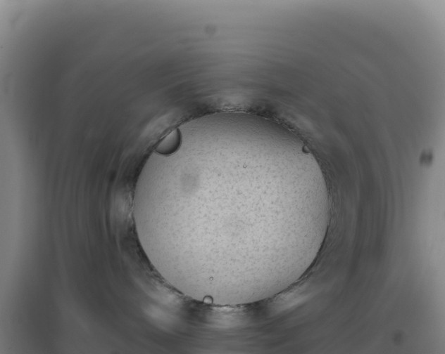 X0000096720240200802121255