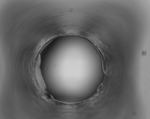 X0000096720241200802121254