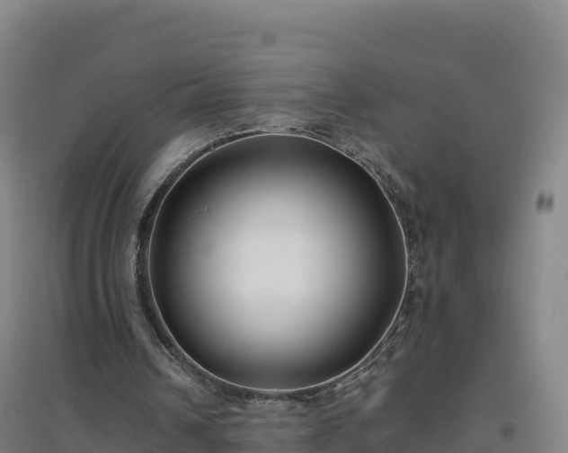 X0000096720242200802121254