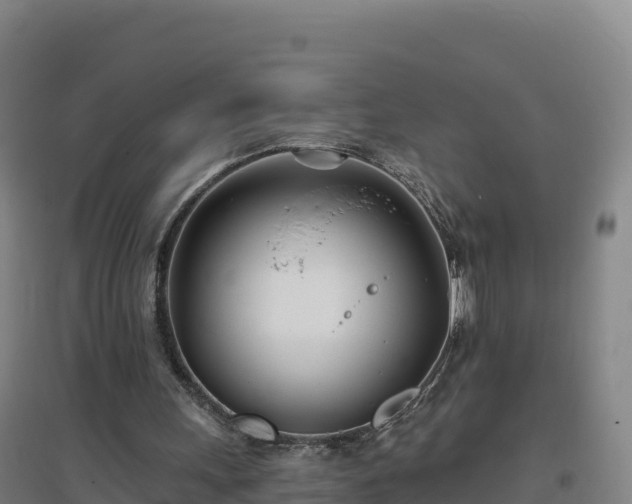 X0000096720243200802121254