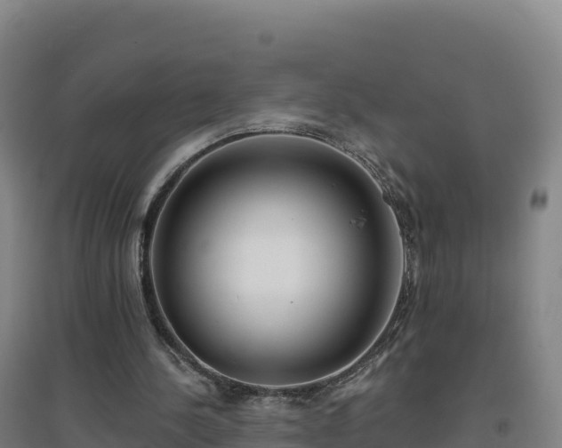 X0000096720244200802121254