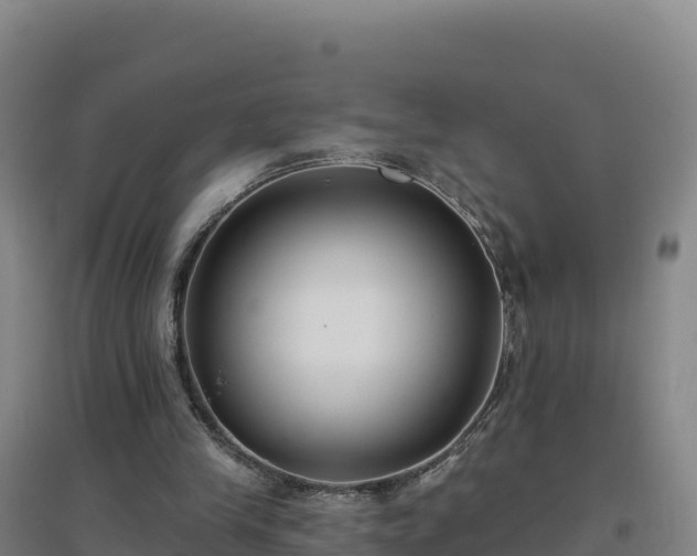 X0000096720245200802121254