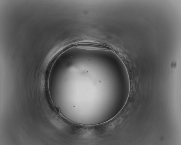 X0000096720247200802121254