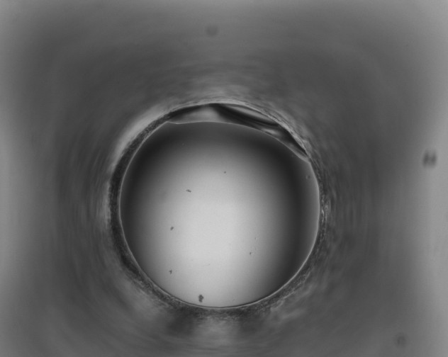 X0000096720248200802121254