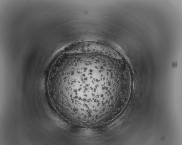 X0000096720249200802121254