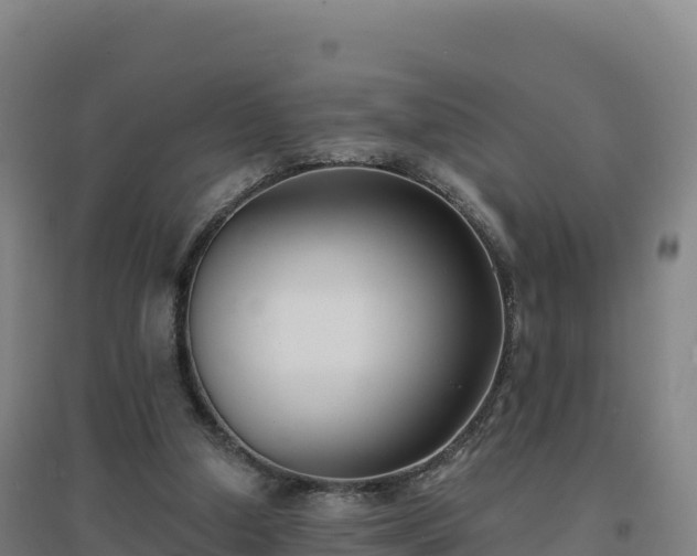 X0000096720250200802121254