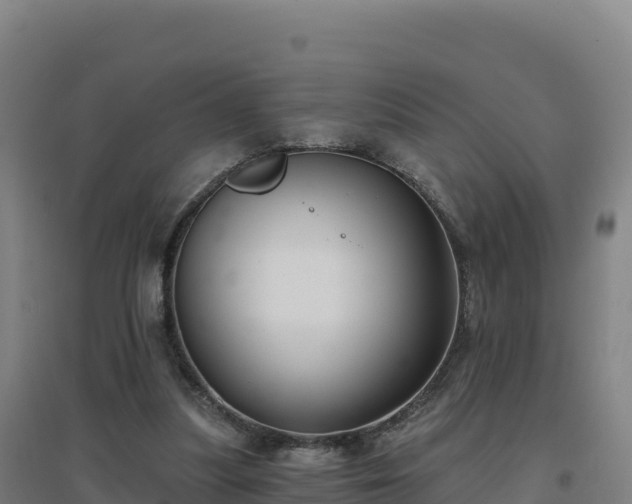 X0000096720251200802121254