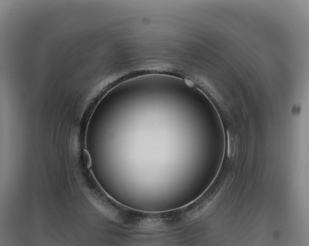 X0000096720252200802121254