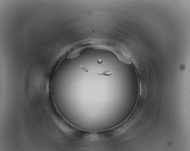 X0000096720253200802121254