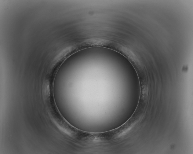 X0000096720254200802121254