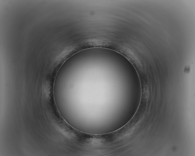 X0000096720255200802121255