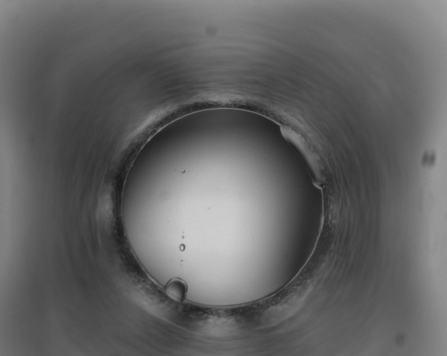 X0000096720256200802121255