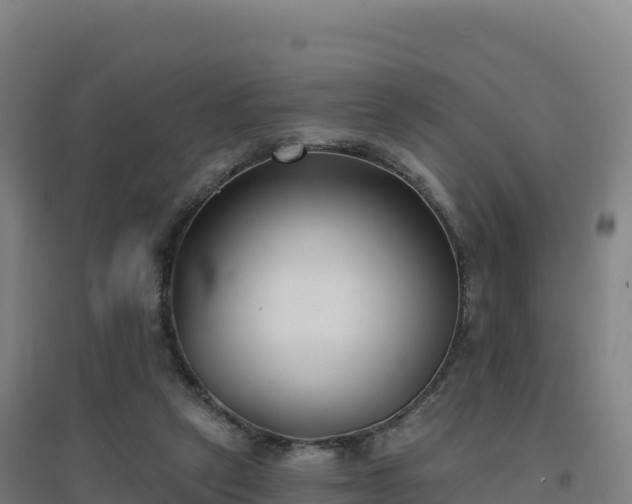 X0000096720257200802121255