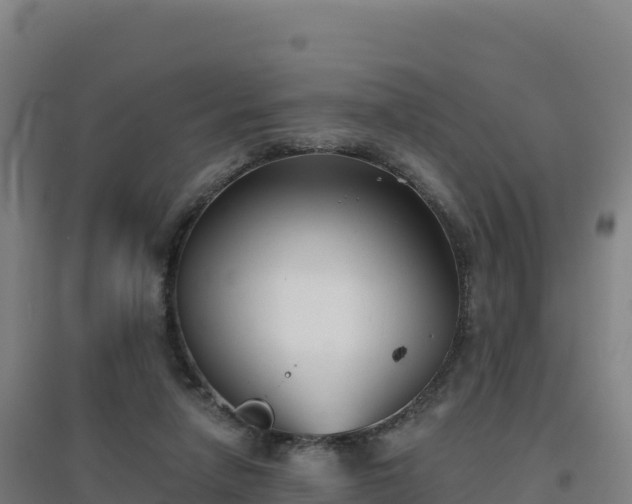 X0000096720258200802121255