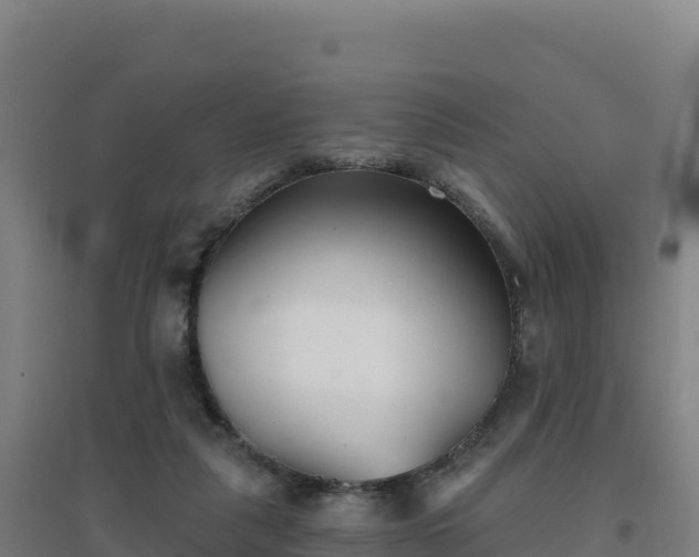 X0000096720259200802121255