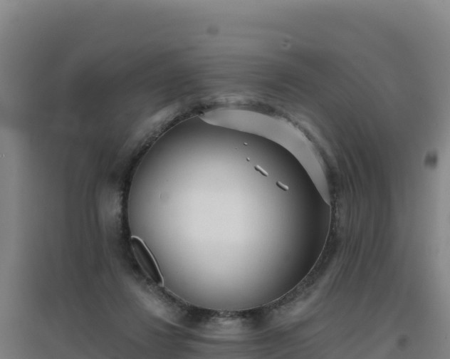 X0000096720260200802121255