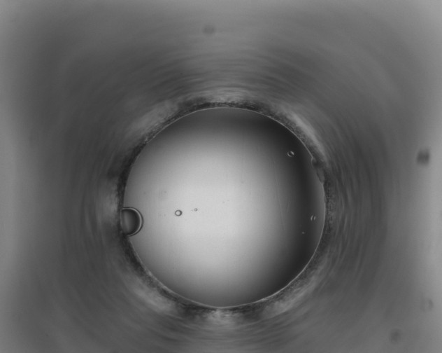 X0000096720261200802121255