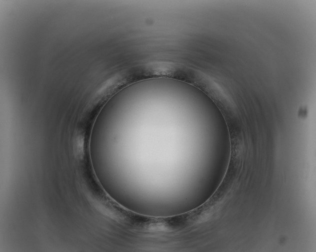 X0000096720262200802121255