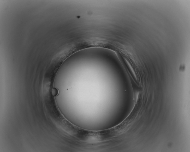 X0000096720263200802121255