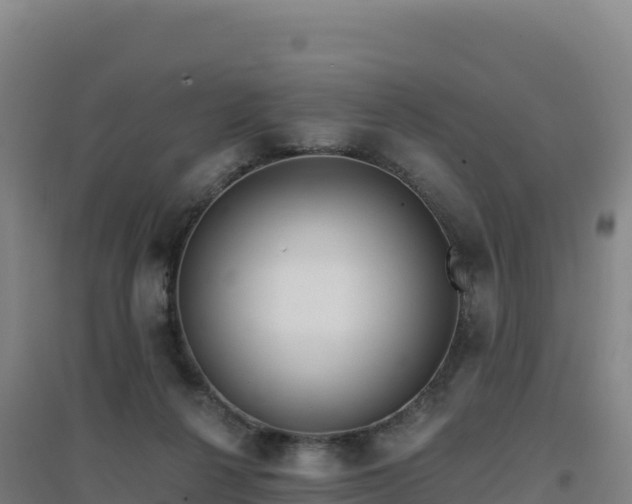 X0000096720264200802121255