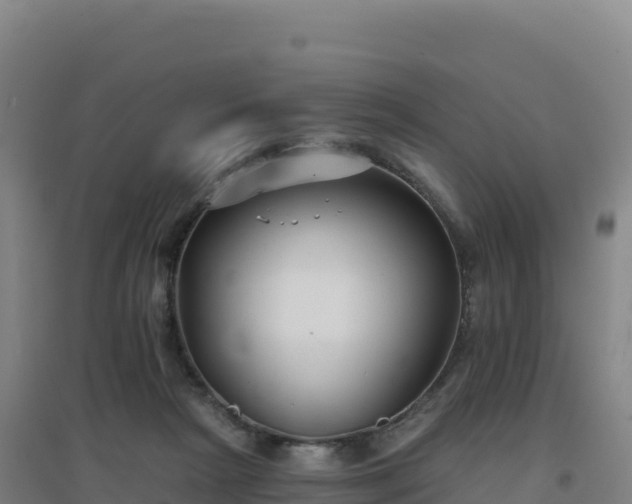 X0000096720265200802121255