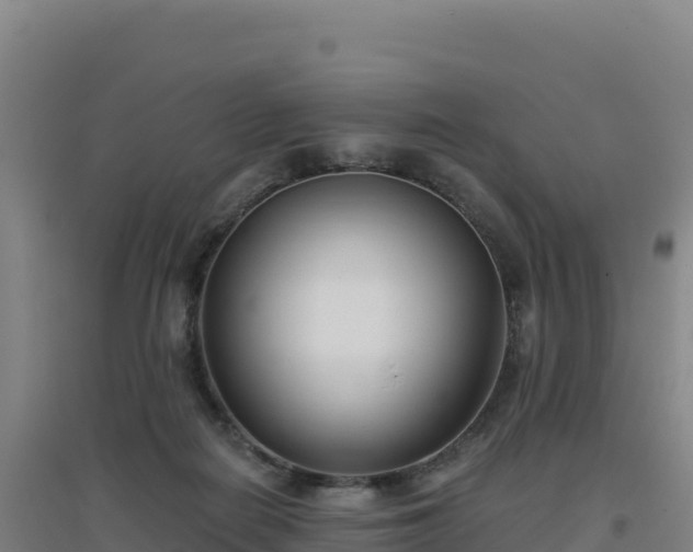 X0000096720266200802121255