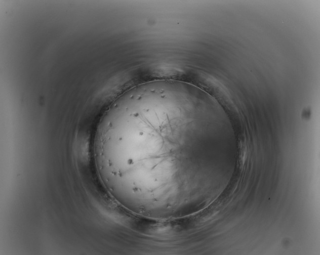 X0000096720267200802121255