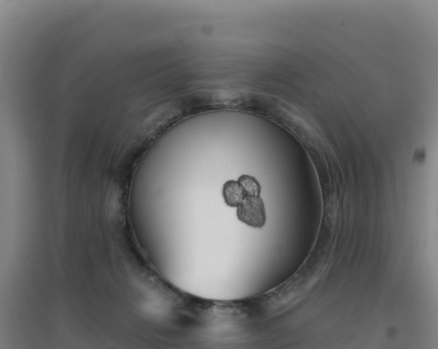 X0000096720270200802121255