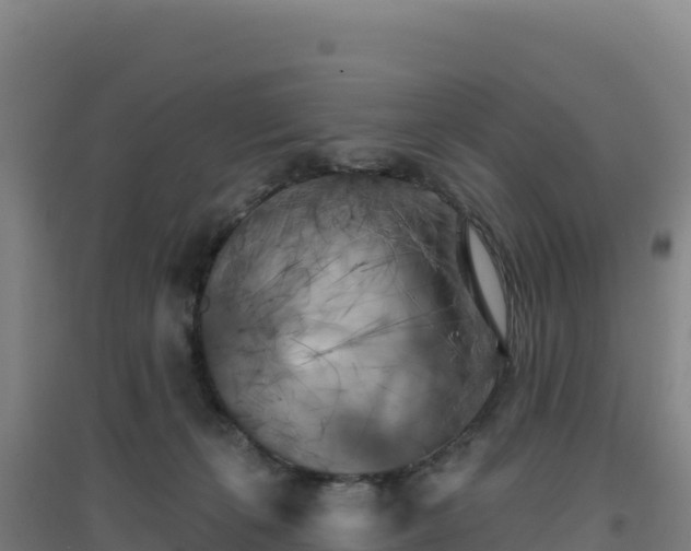 X0000096720271200802121255