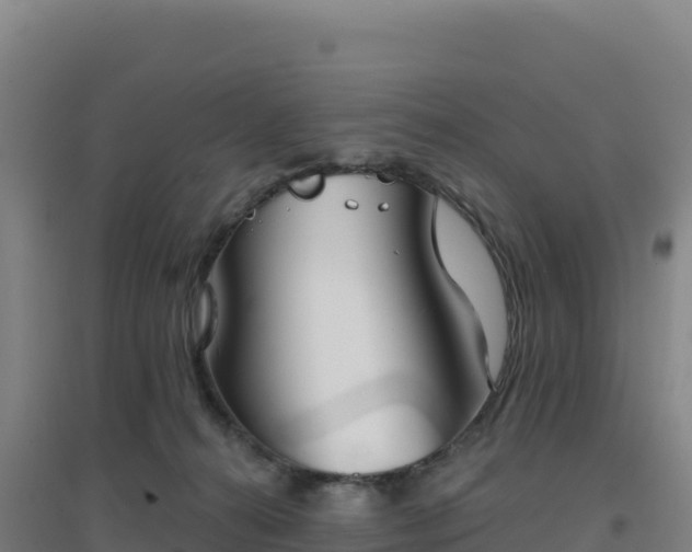 X0000096720272200802121255