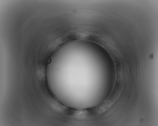 X0000096720274200802121255