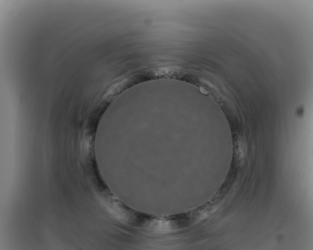 X0000096720276200802121255