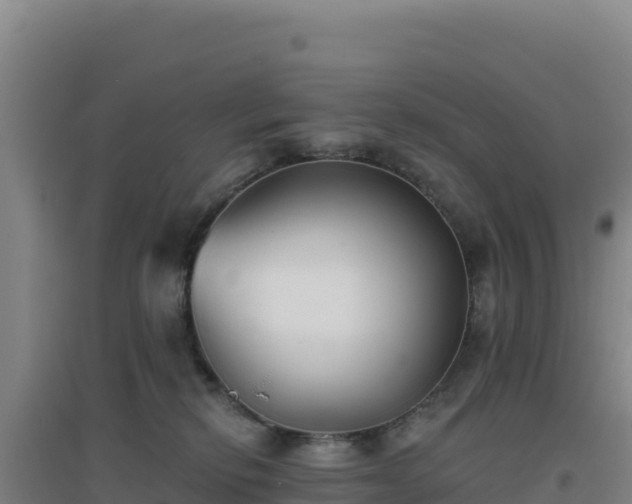 X0000096720278200802121255