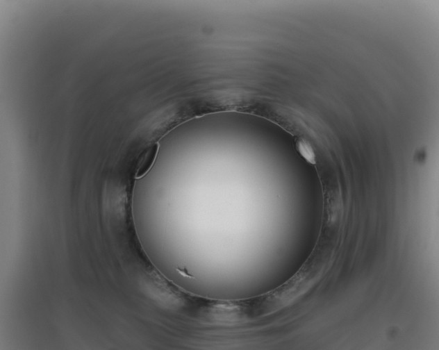 X0000096720279200802121255