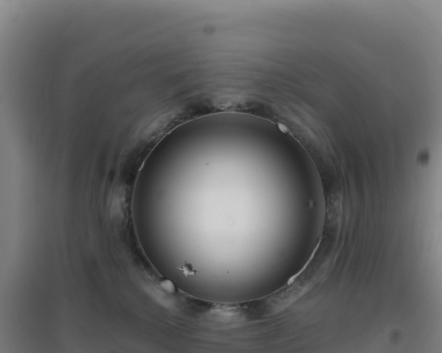 X0000096720280200802121255