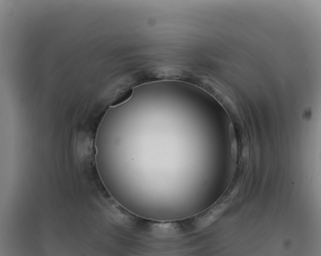 X0000096720281200802121255