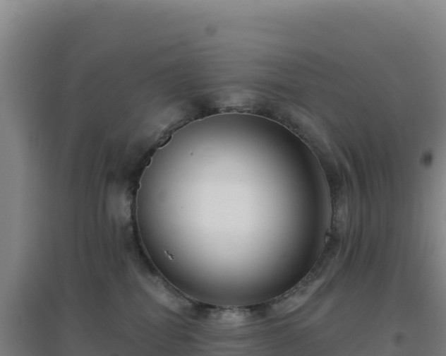 X0000096720282200802121255