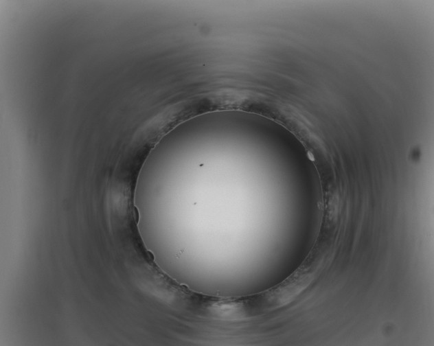 X0000096720283200802121255