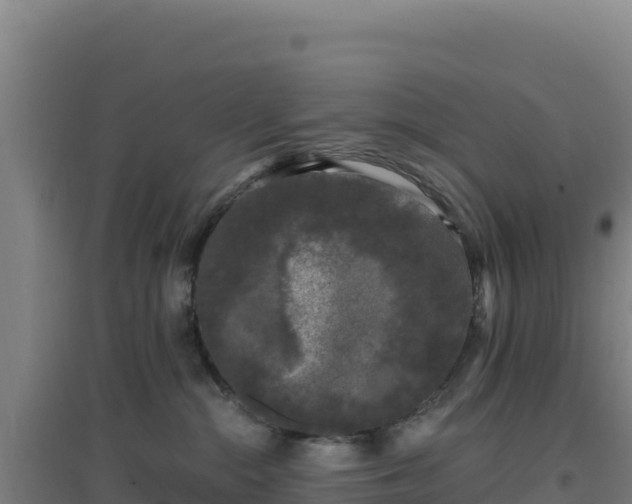 X0000096720284200802121255