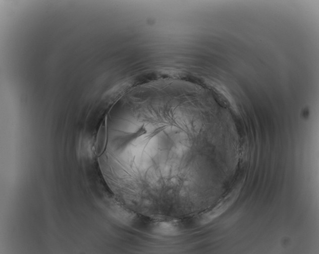 X0000096720285200802121255