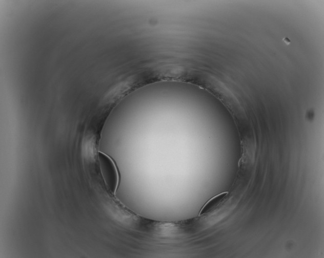 X0000096720287200802121255