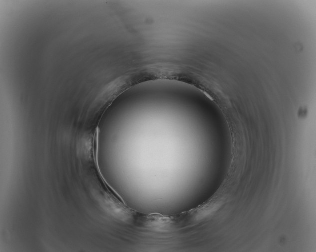 X0000096720288200802121255