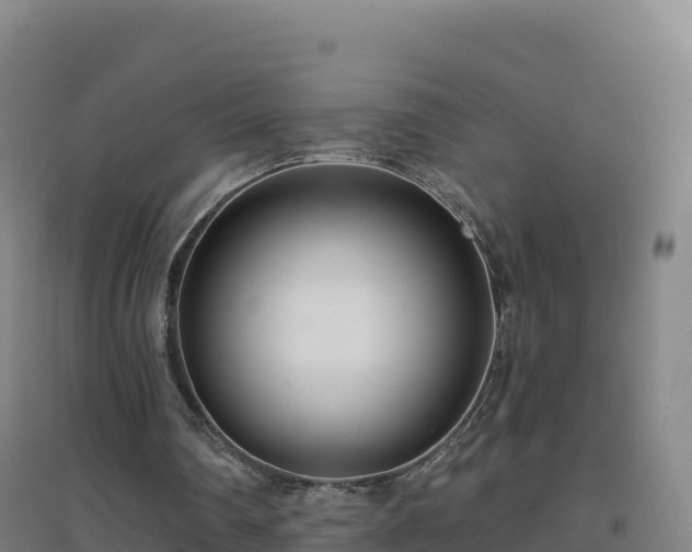 X0000096720290200802121254