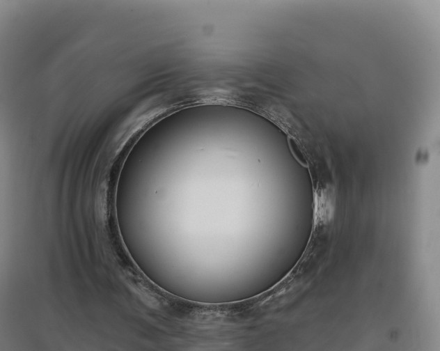 X0000096720291200802121254