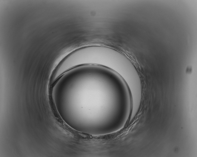 X0000096720292200802121254