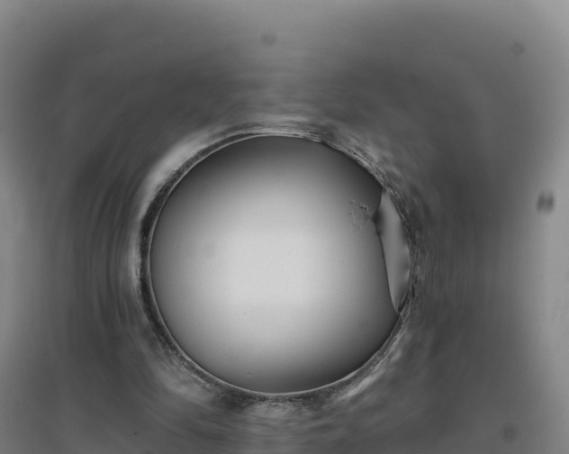 X0000096720294200802121254