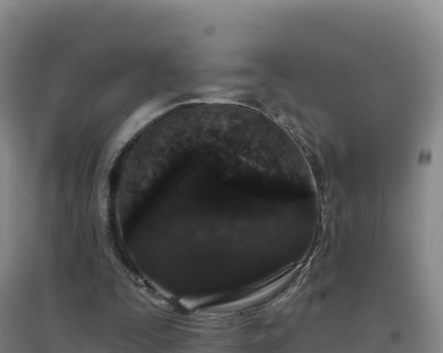 X0000096720295200802121254