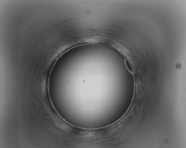 X0000096720297200802121254